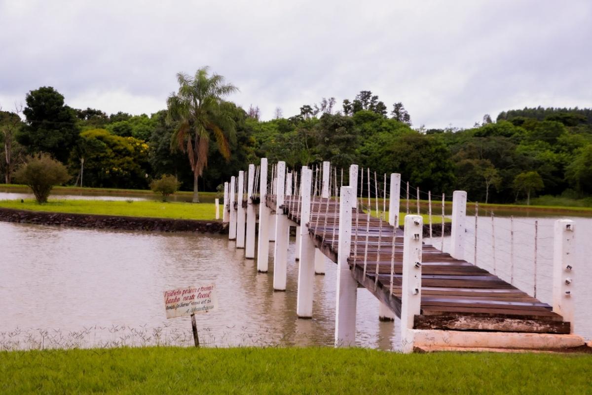 Horto municipal é reaberto
