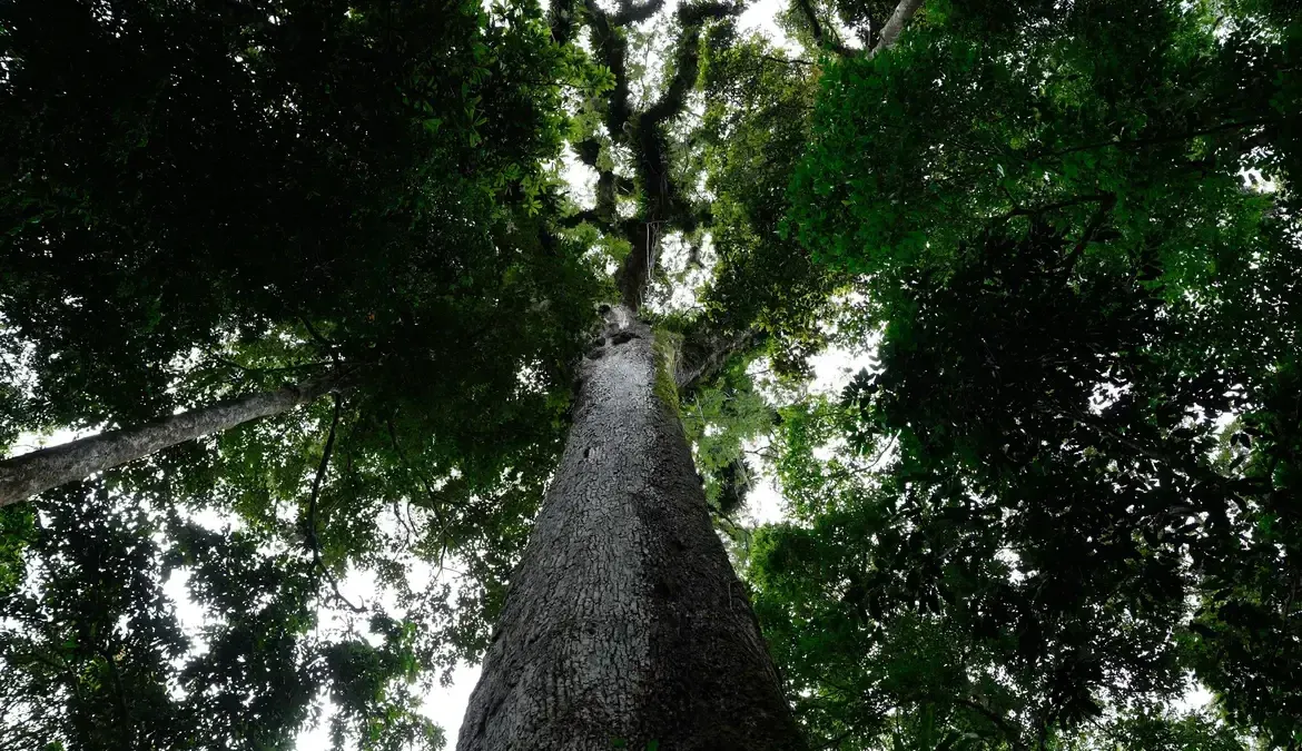 CNM alerta: nova Lei Geral do Licenciamento Ambiental exige adequações imediatas dos Municípios