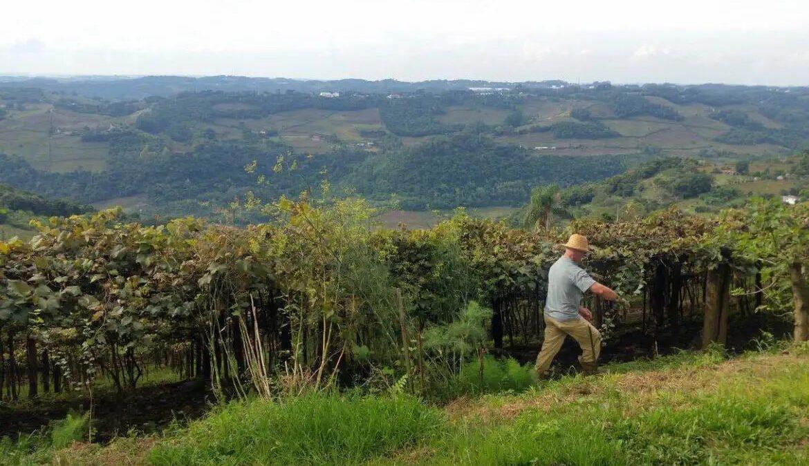 Informações do Valor da Terra Nua devem ser enviadas até 30 de abril; CNM orienta gestores municipais quanto a regras